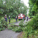 n- 9941 Einsatz THL Baum 31.07.11 n- 9941 Einsatz THL Baum 31.07.11